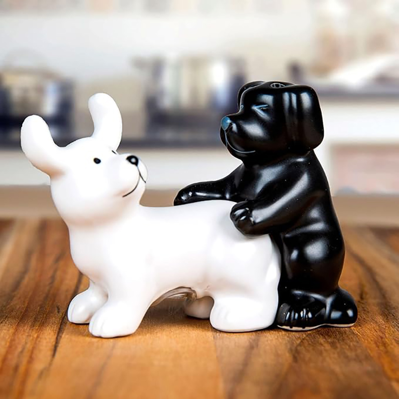 Korean Kitchen Gadgets - Black And White Ceramic Dog Salt