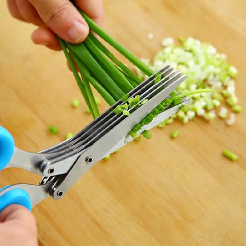 5 Layers Blade Scallion Scisso - Herb Scissors 5 Blade 评论和价格